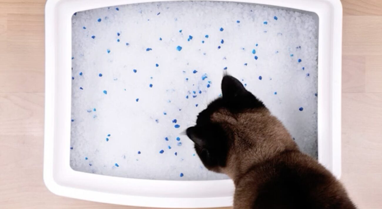 Господині розповіли, як позбутися вогкості у кімнаті без спеціальних приладів