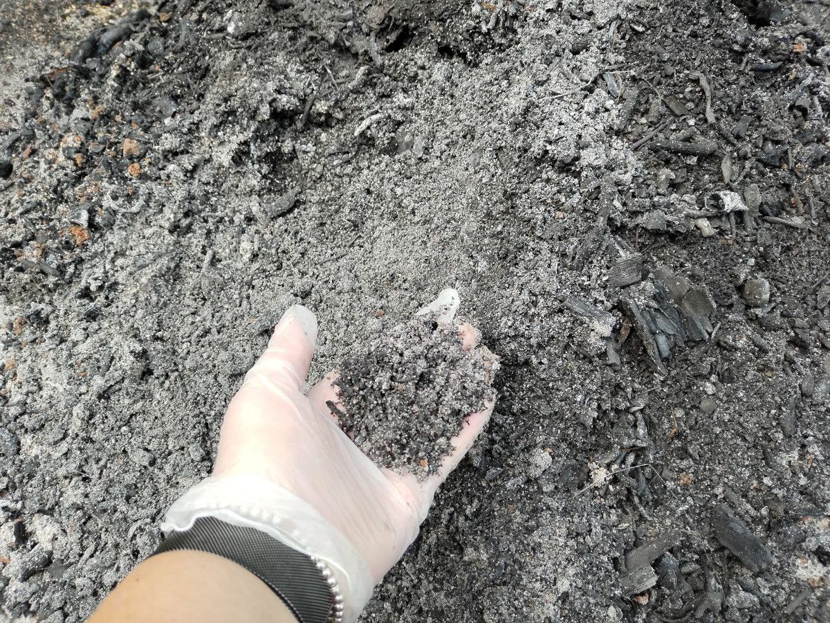 Городники розповіли, яку насправді користь несе деревна зола