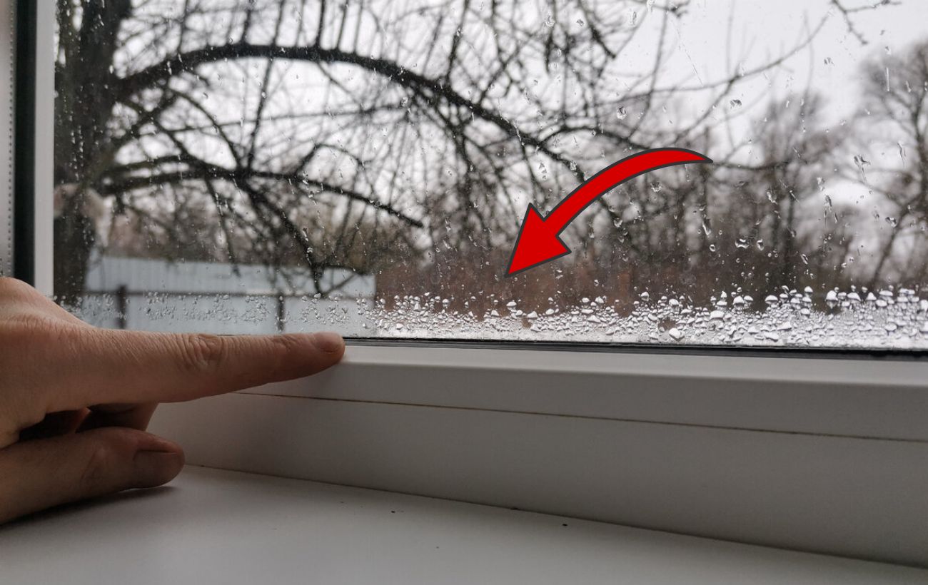 Господині розповіли, як позбутися конденсату на вікнах 