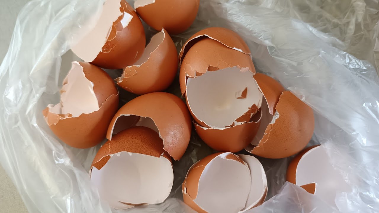 Агрономи назвали помилку у використанні яєчної шкаралупи, яка шкодить урожаю