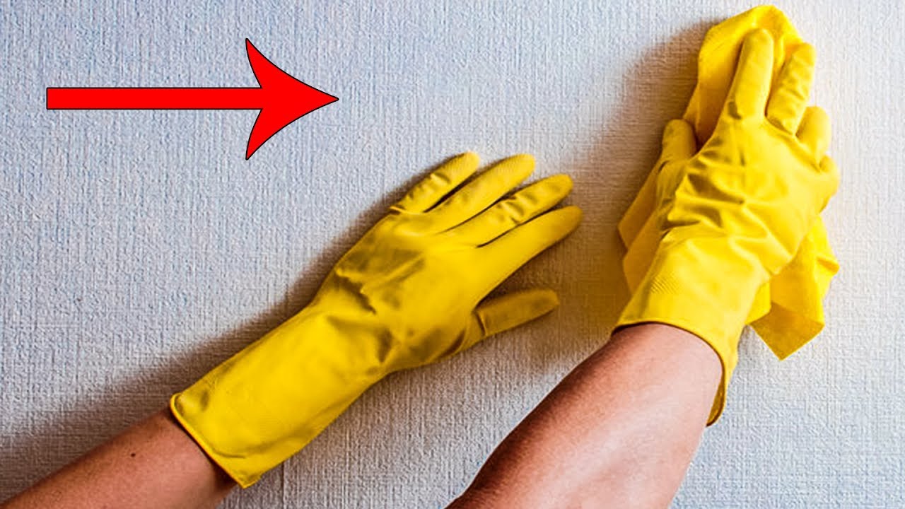 Господині розповіли, як відмити шпалери в будинку всього за 5 хвилин