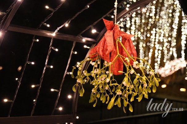 Омела / © Credits