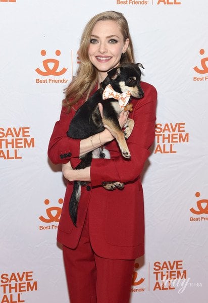 Аманда Сейфрід / © Getty Images