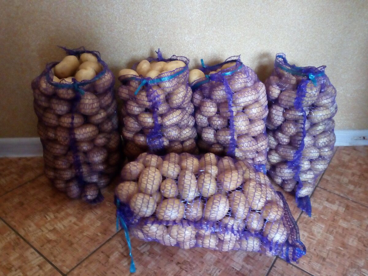 Експерти розповіли, який фрукт допоможе зберігати картоплю без псування до самої весни