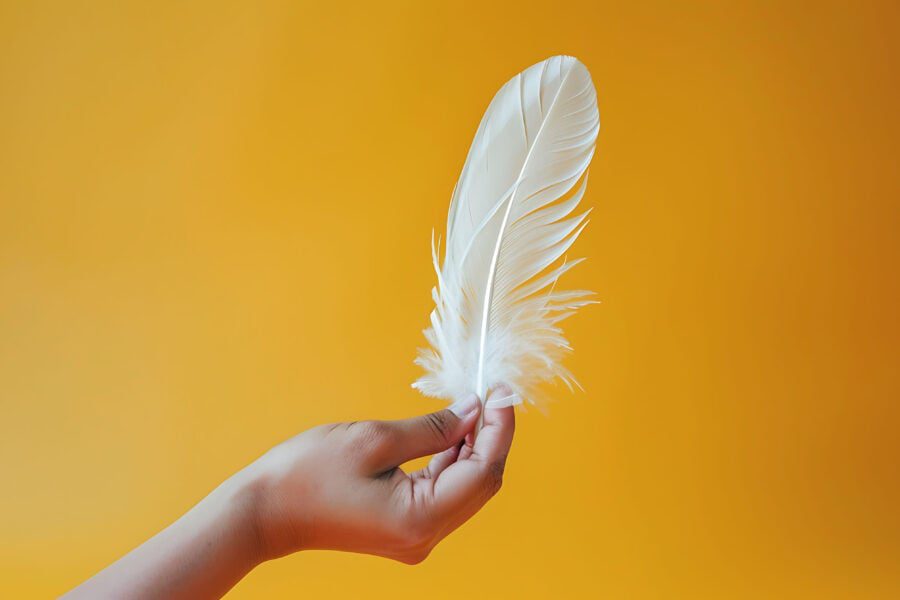 Експерти пояснили, що можна зробити зі знайденою пір'їнкою на вулиці