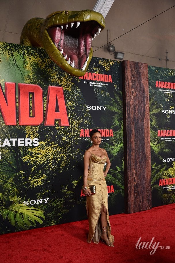 Тенді Ньютон / © Associated Press