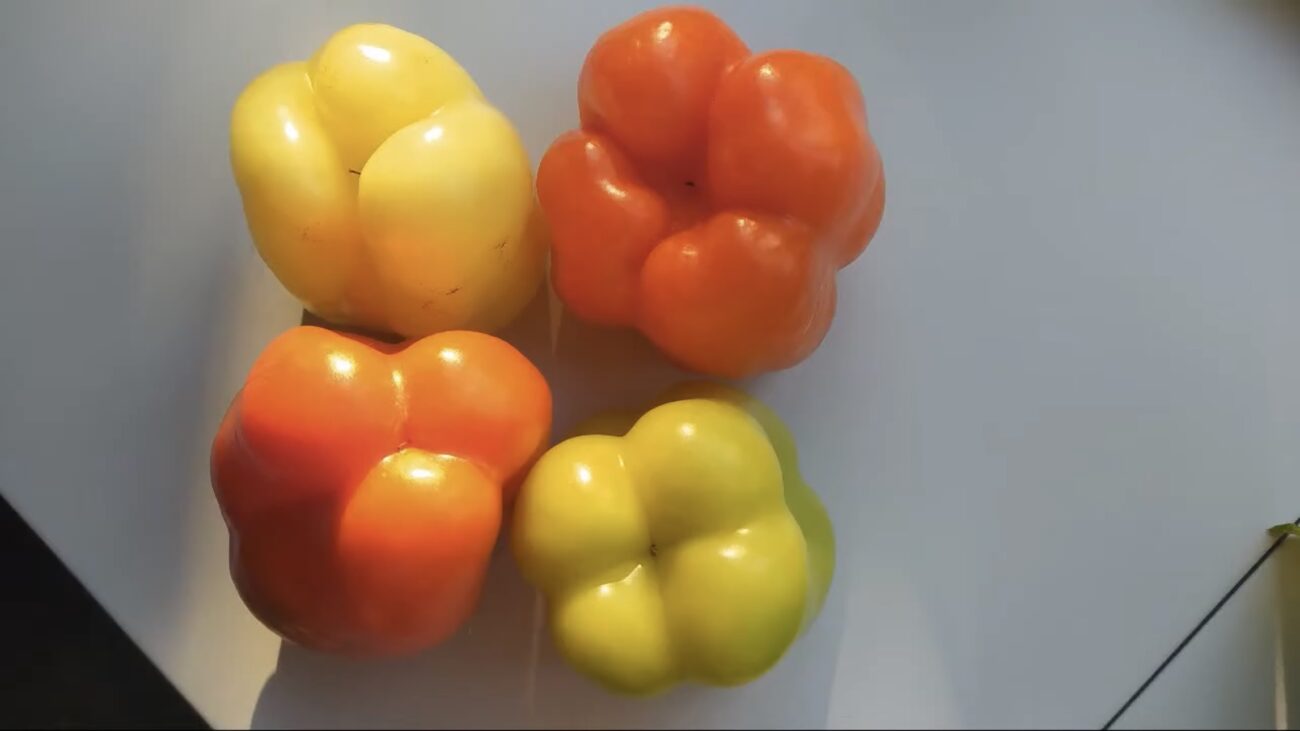 Господині розповіли, як обрати який перець для салатів, а який для фарширування 