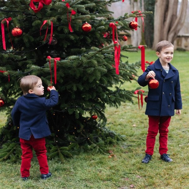 Сини герцога Гійома і&nbsp;герцогині Стефанії&nbsp;&mdash; Франсуа і&nbsp;Шарль / &copy; instagram.com/courgrandducale
