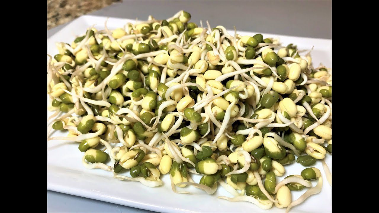 Бобова культура маш та її переваги