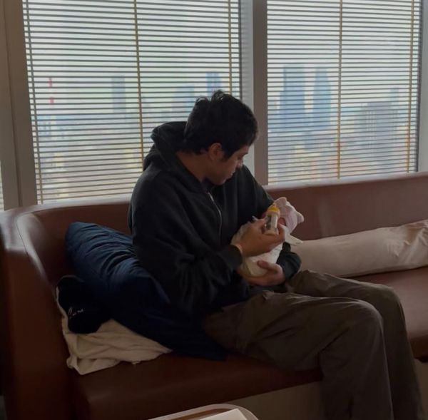 2252_5.jpg (46.42 Kb)