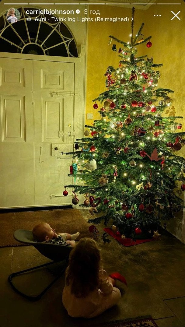 Ялинка Джонсонів / © Instagram Керрі Джонсон