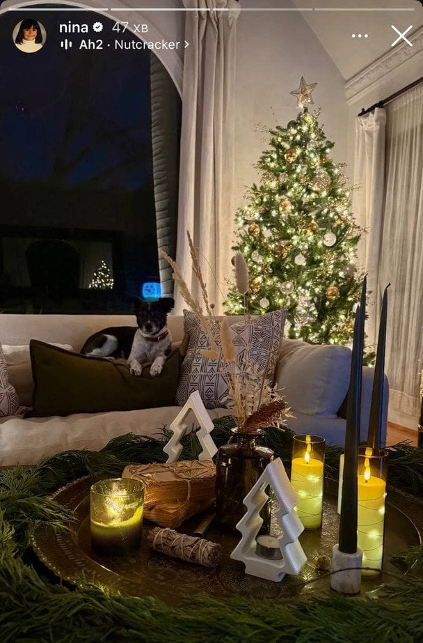 Ялинка Ніни Добрев