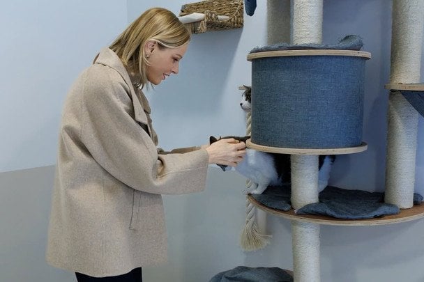 Княгиня Шарлін