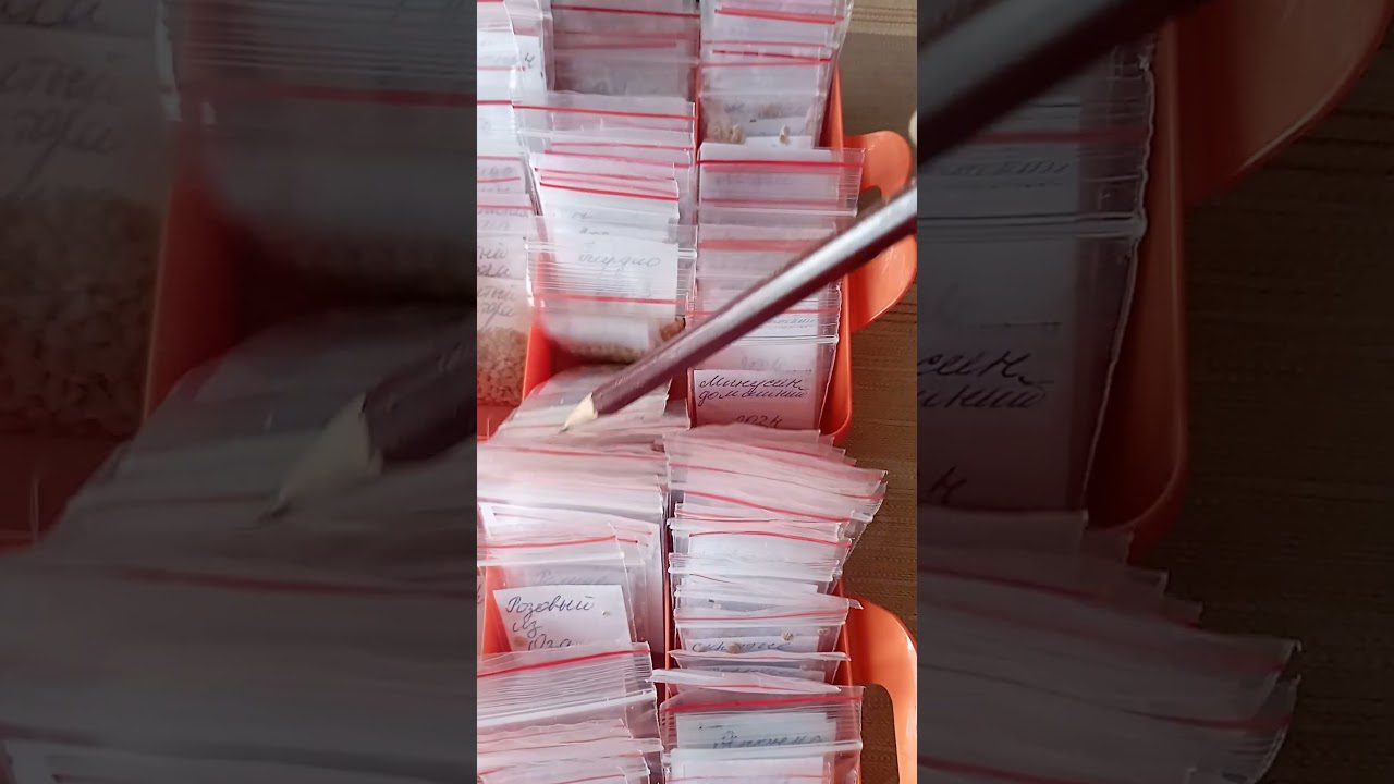 Дачники розповіли, як правильно зберігати насіння овочів взимку