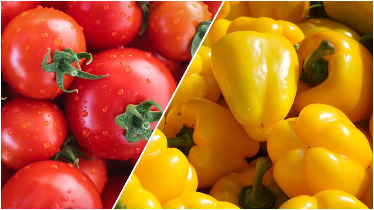 Експерти розповіли, на які сорти перцю варто звернути увагу в 2026 році