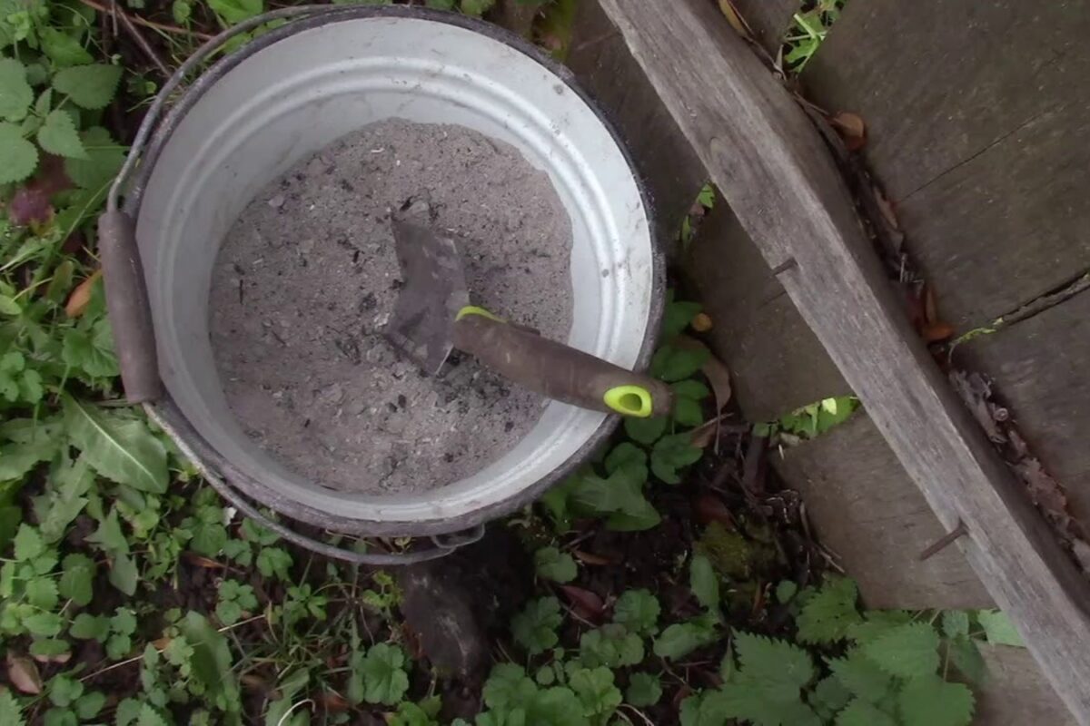 Експерти розповіли, яке добриво треба додати на грядки з озимим часником