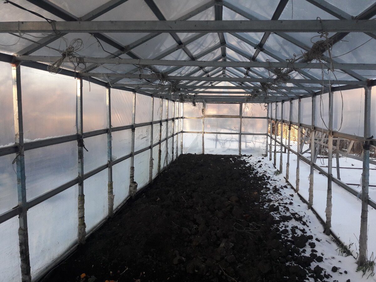 Городники розповіли, як правильно дезінфікувати теплицю від бактерій і грибкових захворювань