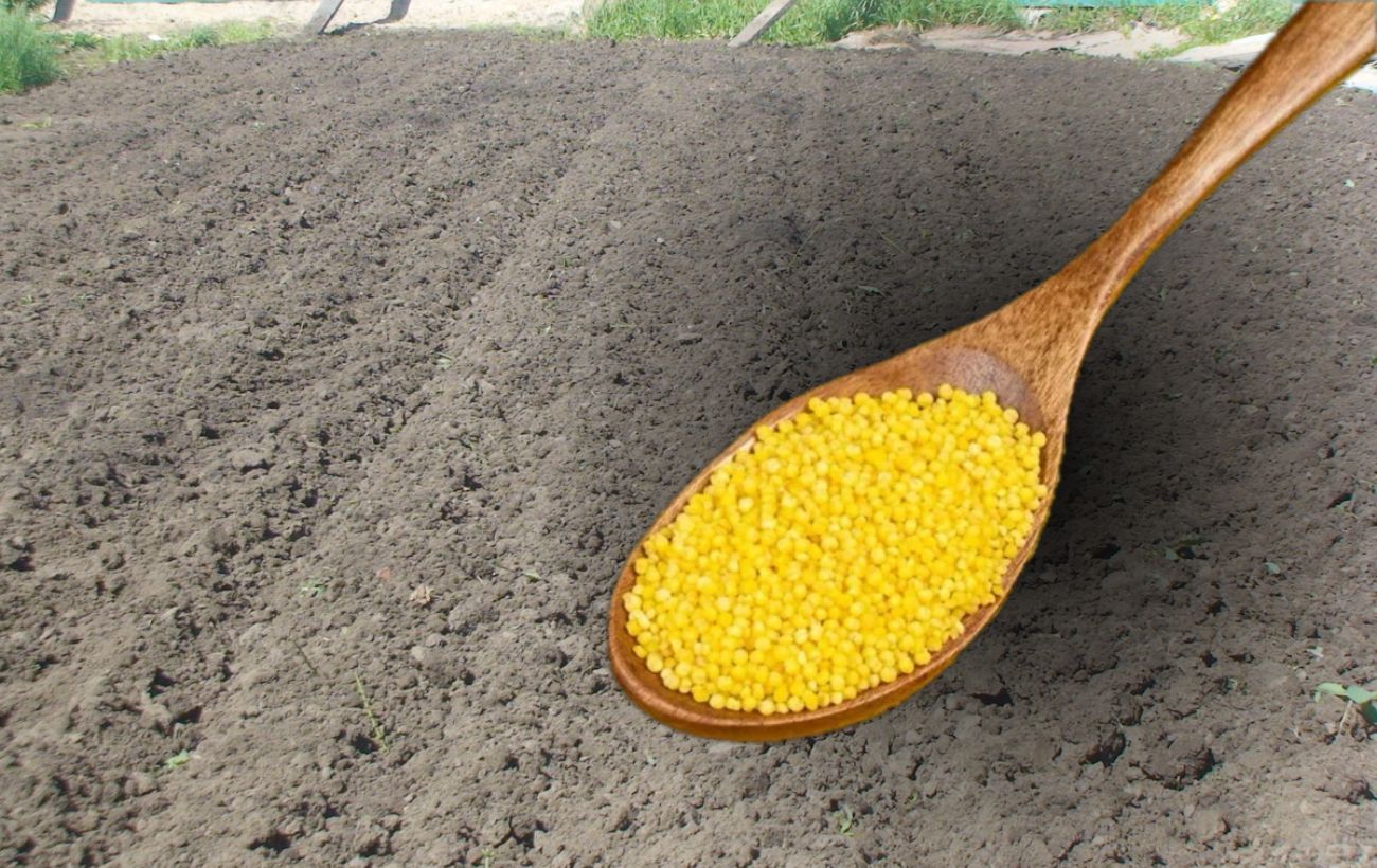 Городники розповіли, як удобрювати ґрунт рештками харчових продуктів 