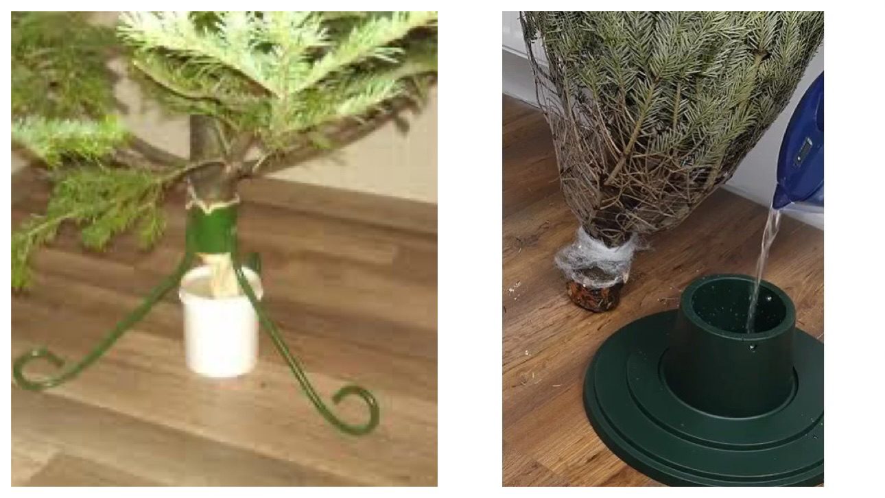 Господині розповіли, як поставити ялинку, щоб вона не обсипалася Господині розповіли, як поставити ялинку, щоб вона не обсипалася