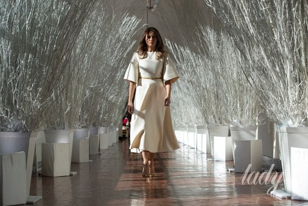 Декор Білого дому, 2017 рік / © Associated Press