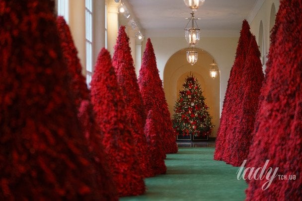 Декор Білого дому, 2017 рік / © Associated Press