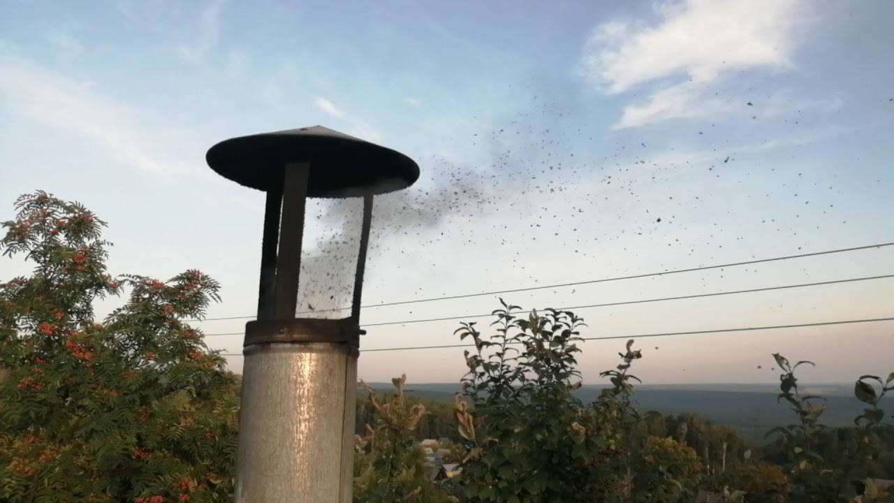 Господині розповіли, як швидко й безпечно очистити димар від сажі