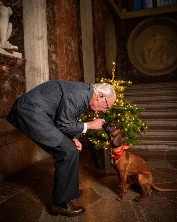 Король Карл Густав з їхнім новим вихованцем / © Шведська королівська родина/Instagram