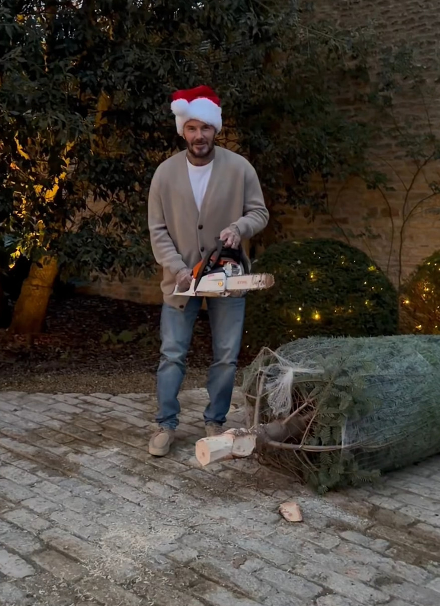 Девід Бекхем показався з пилою біля ялинки