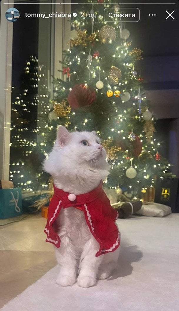 Кіт Фріди Аасен / © Instagram Фріди Аасен