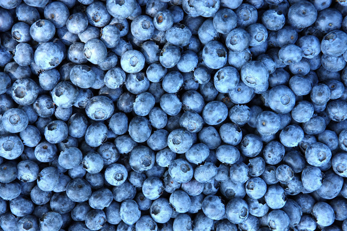 6 фруктів, які варто їсти частіше для кращого здоров’я нирок Чорниця