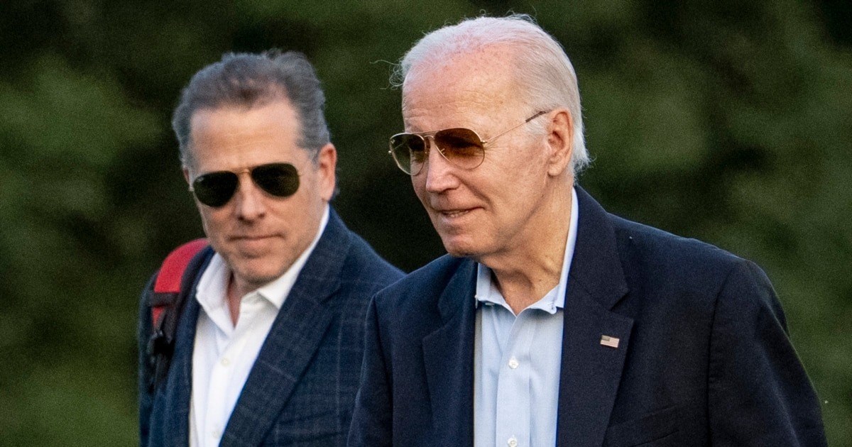 “Гадюче лігво”: син Байдена жорстоко виловився про Україну