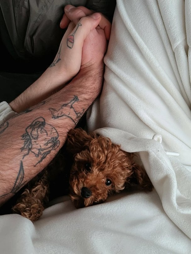 MELOVIN з нареченим та хатньою улюбленицею / © instagram.com/melovin_official