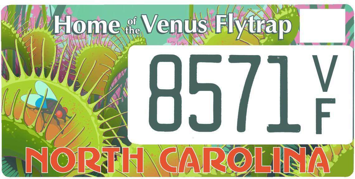 У США затвердили номерні знаки зі скелетом динозавра: виглядає справді епічно - фото 3