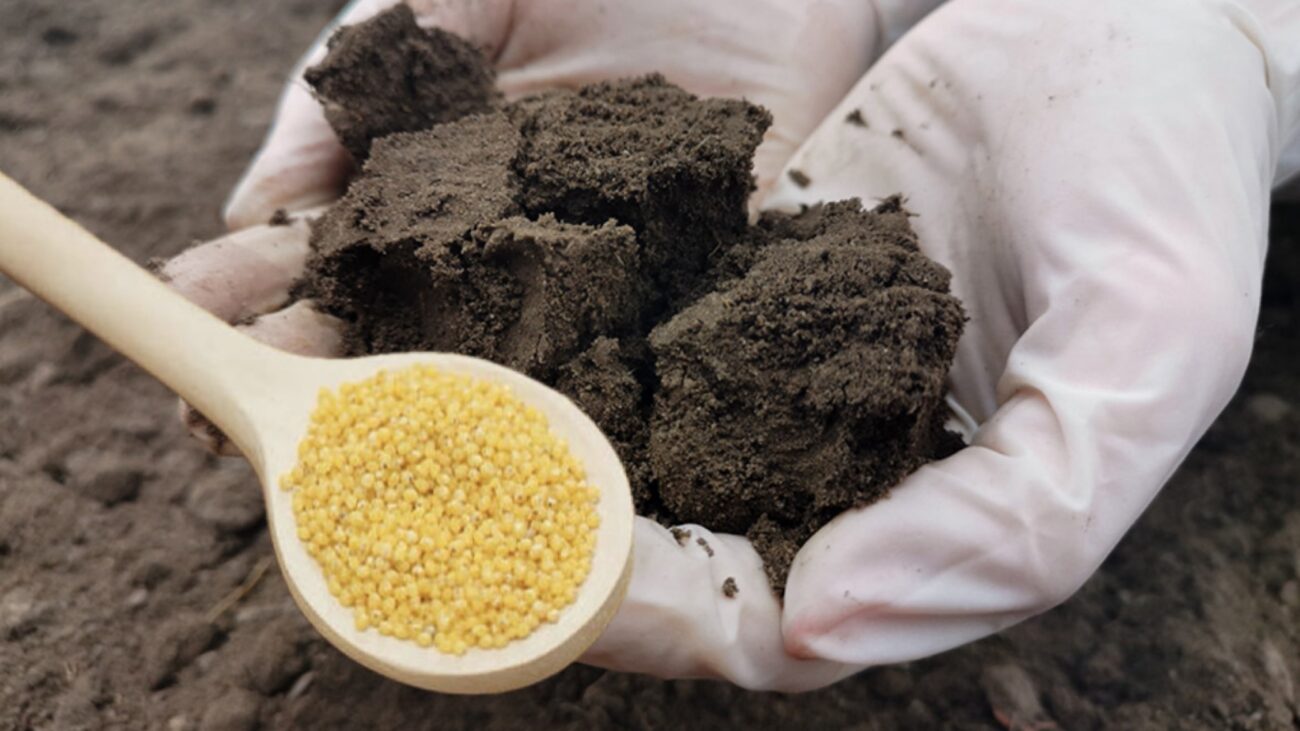 Городники розповіли, як удобрювати ґрунт рештками харчових продуктів 