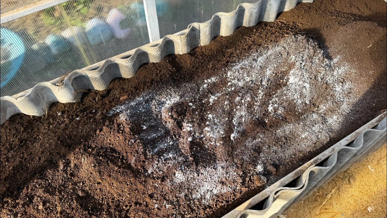 Експерти розповіли, як правильно комбінувати популярні добрива