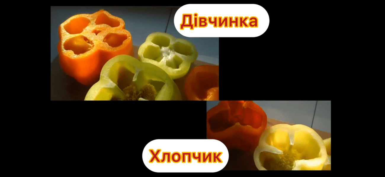 Господині розповіли, як обрати який перець для салатів, а який для фарширування 