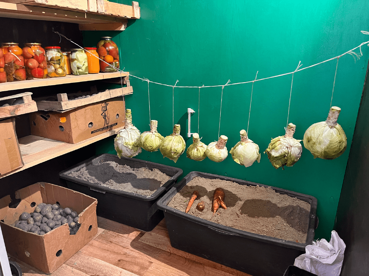 Експерти розповіли, як зберігати капусту довго так, аби вона не чорніла і не почала псуватись