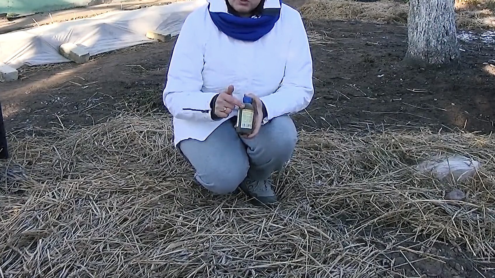 Городники розповіли, що покласти у мульчу, щоб там не заводилися миші Городники розповіли, що покласти у мульчу, щоб там не заводилися миші