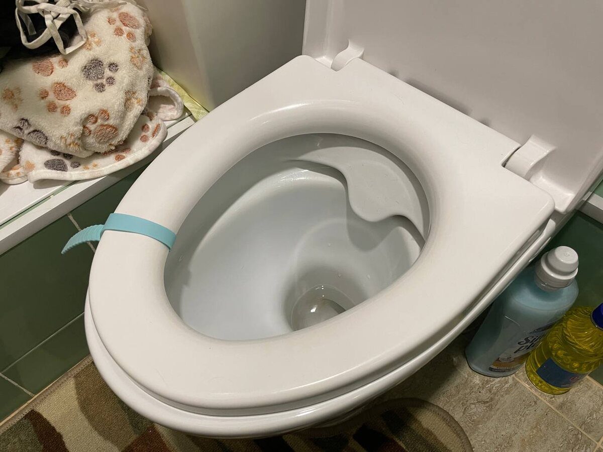 Експерти розповіли, як легко підтримувати туалет в чистоті