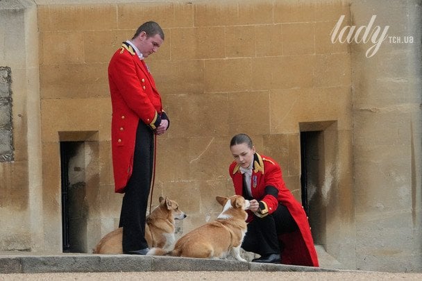 Коргі королеви Єлизавети II / © Associated Press