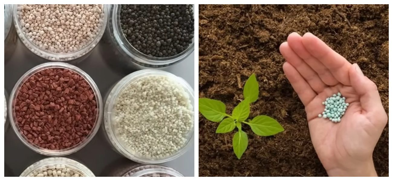 Експерти розповіли, як зберігати агрохімію взимку