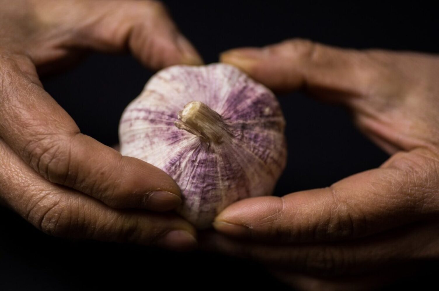Городники розповіли, коли сприятливий час для посадки озимого часнику в грудні
