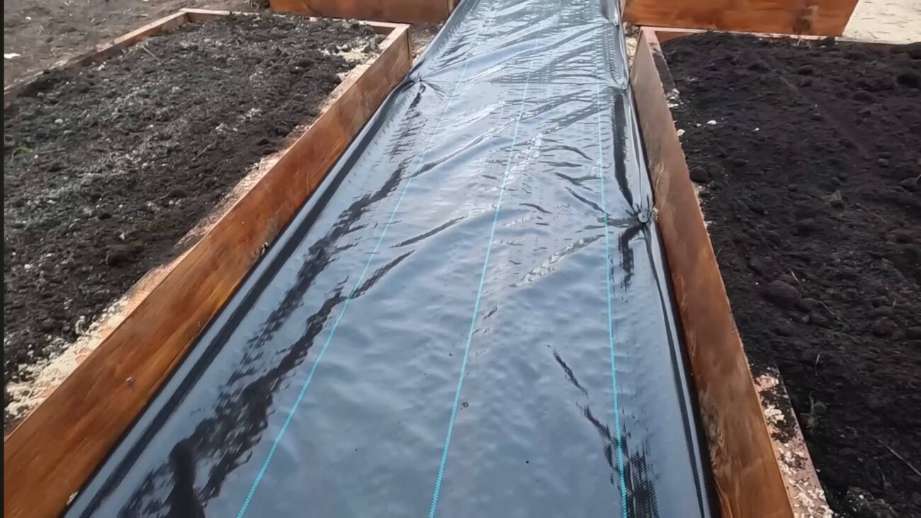 Дачники розповіли, чим можна застелити доріжки на городі від калюж та бруду