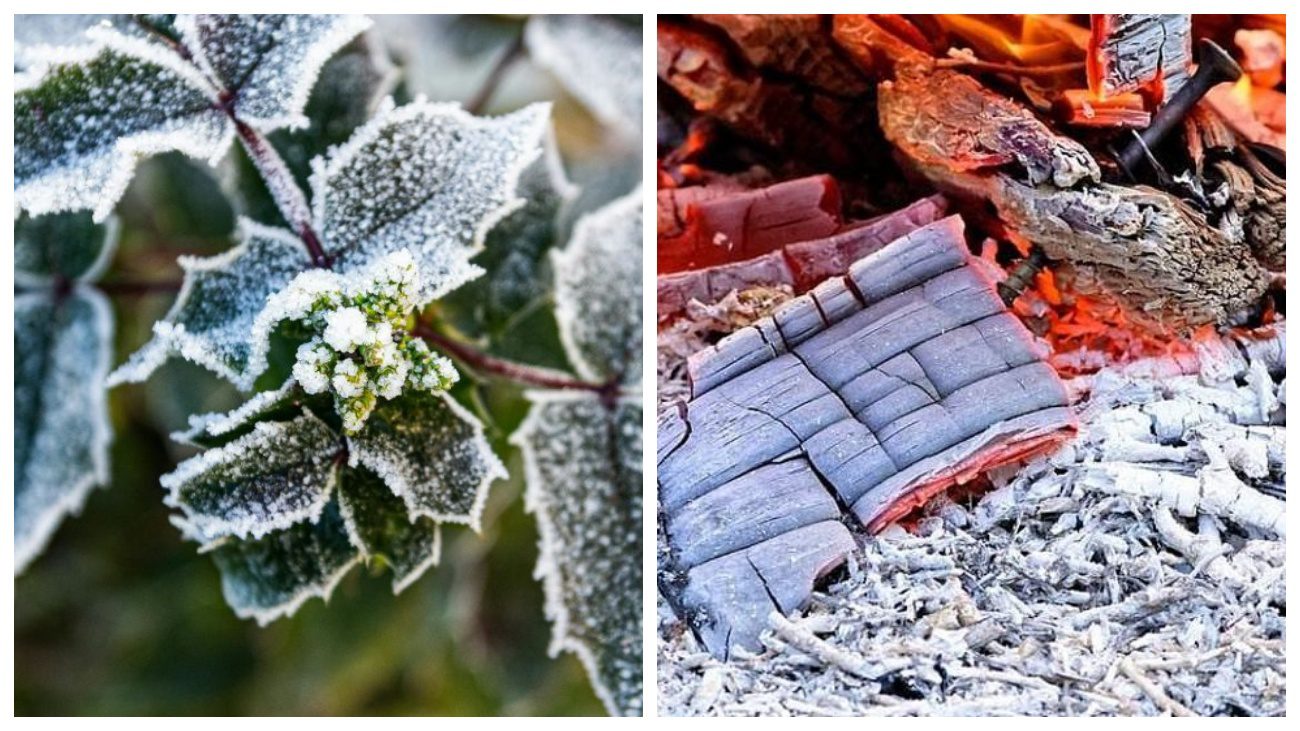 Городники розповіли, як правильно використовувати деревну золу взимку