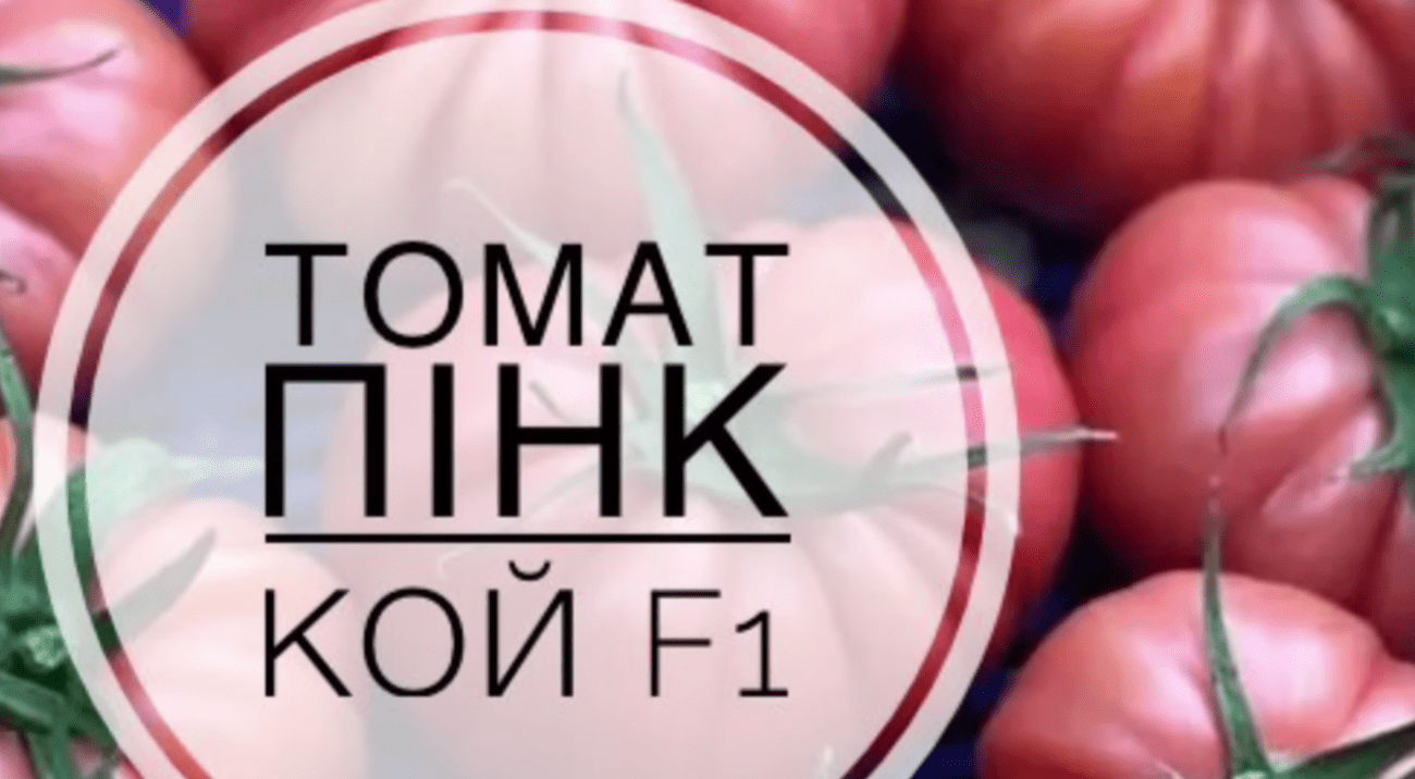Городники назвали 5 найкращих позицій сортів томатів на новий сезон 2026