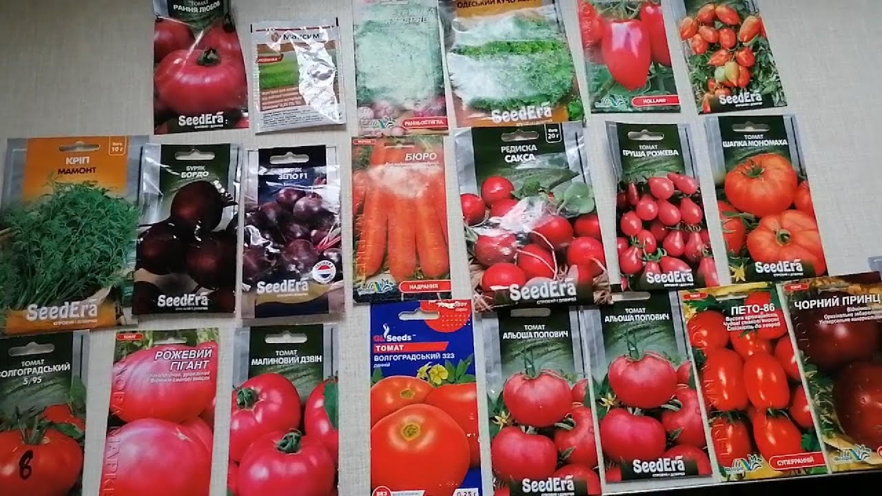 Агрономи поділилися ефективною методикою розрахунку насіння для ділянки