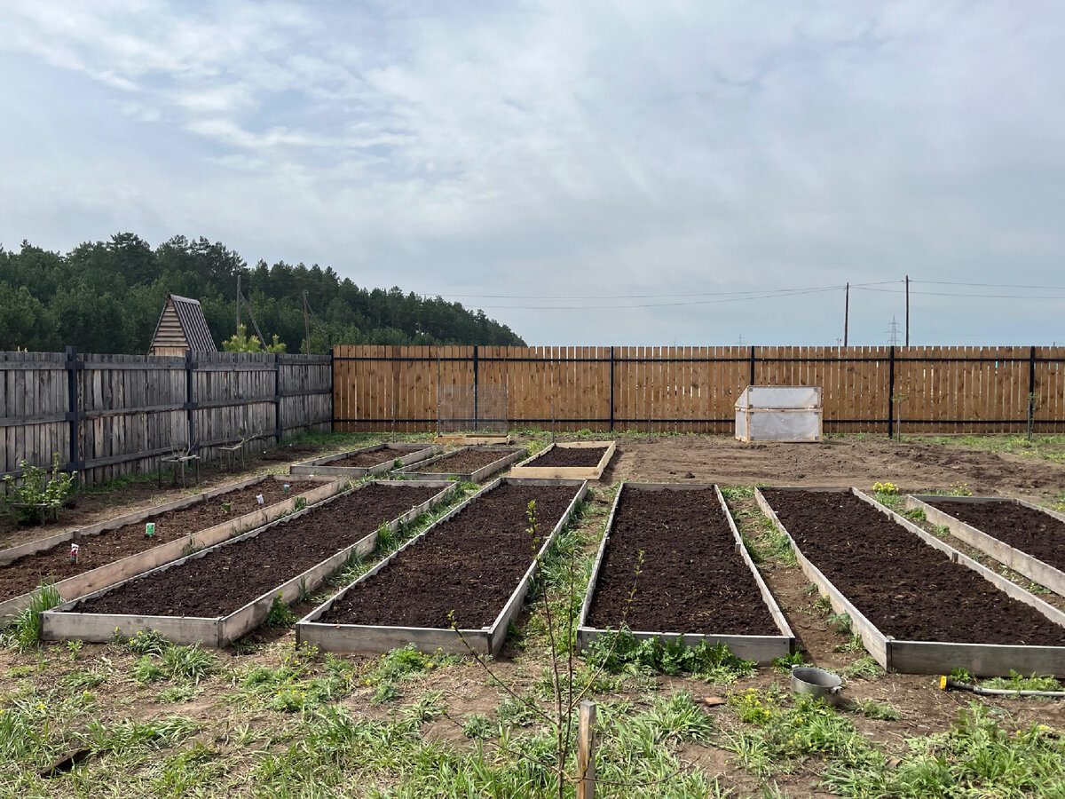 Експерти розповіли про правильну організацію грядок на городі, аби вони залишались вологими