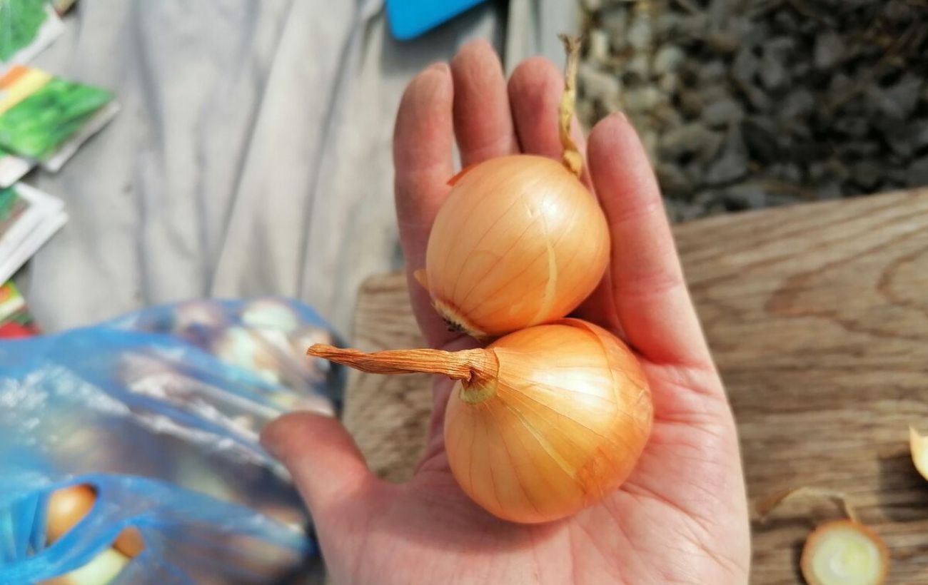 Городники розповіли, як обрати дійсно смачну, солодку та соковиту цибулю за її виглядом