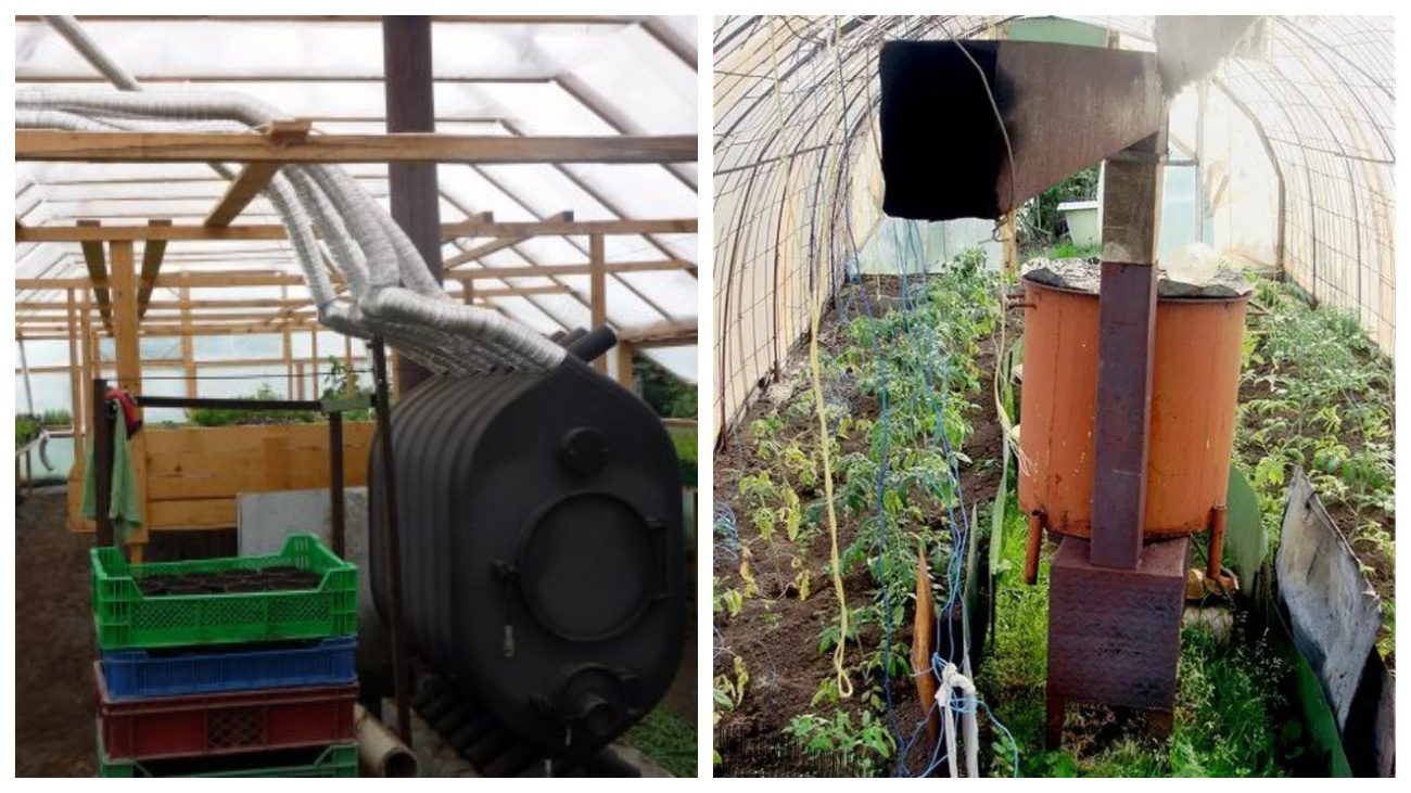 Городники дали поради щодо посіву насіння у січні