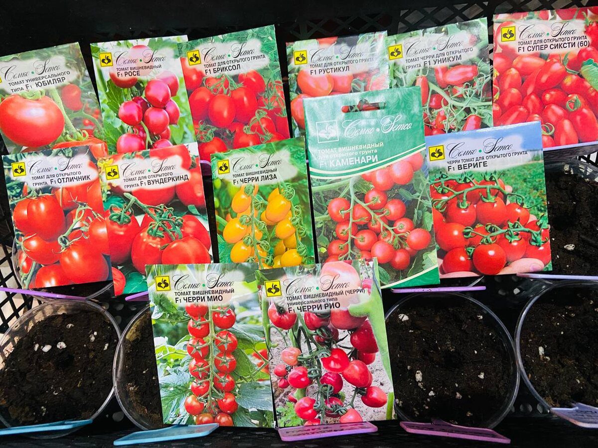 Городники розповіли, як правильно замочувати насіння перед посадкою для кращого проростання